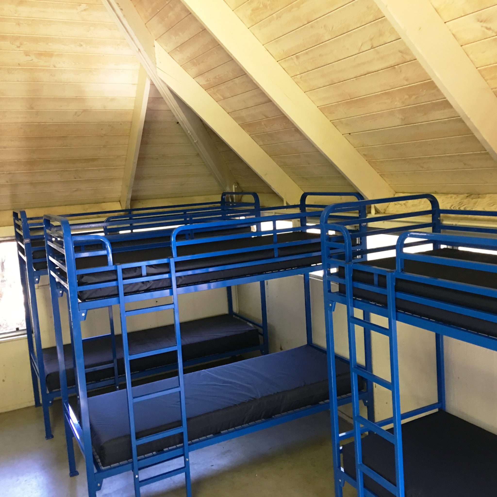 all bunk beds